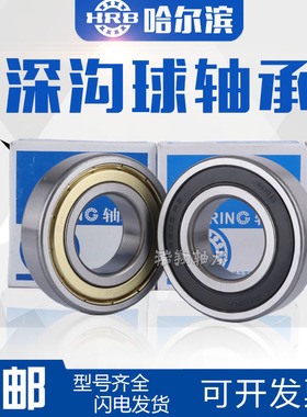 哈尔滨轴承6403 6404 6405 6406 6407 6408 6409 6410Z 2Z 2RS RZ