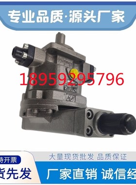 HY32 40 55 63 80 100 107 125 160 250P01/P04-RP LP恒源柱塞泵