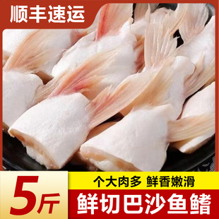 新鲜冷速急冻巴沙鱼鳍鱼肥油鲜活鱼鳍翅鮰鱼鳍鱼腩安康鱼烧烤商用