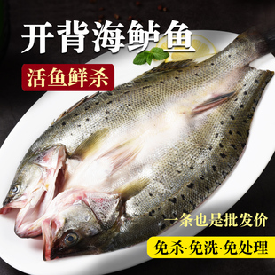 开背海鲈鱼新鲜冷冻深海鱼七星鱼三去卢鱼海鲜水产烤鱼半成品商用