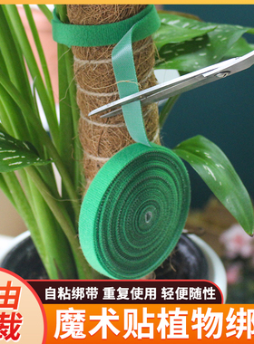 园艺绿植魔术贴扎线自粘植物绑带爬藤植物固定线绿色捆绑线