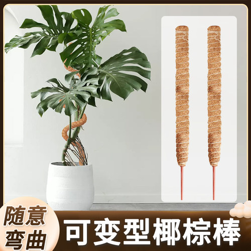 背竹支撑杆绿箩攀爬柱椰棕
