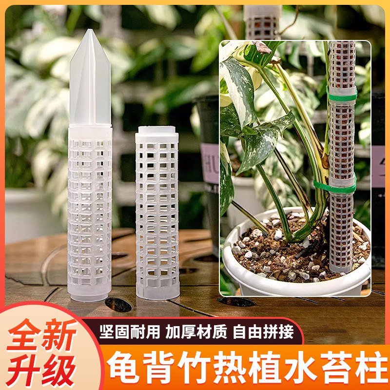 水苔柱可拼接爬藤植物攀附柱热植蔓绿绒绿萝龟背竹攀爬柱固定支架 - 实物图