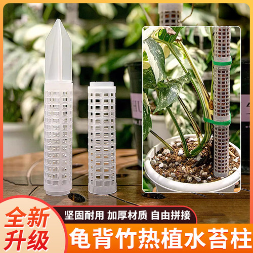 水苔柱可拼接爬藤植物攀附