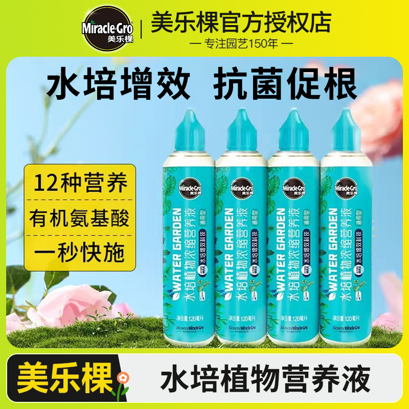 美乐棵龟背竹水培植物专用