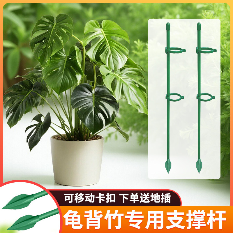 龟背竹番茄辣椒西红固定杆爬藤园艺花架花支撑架植物防倒伏支撑杆