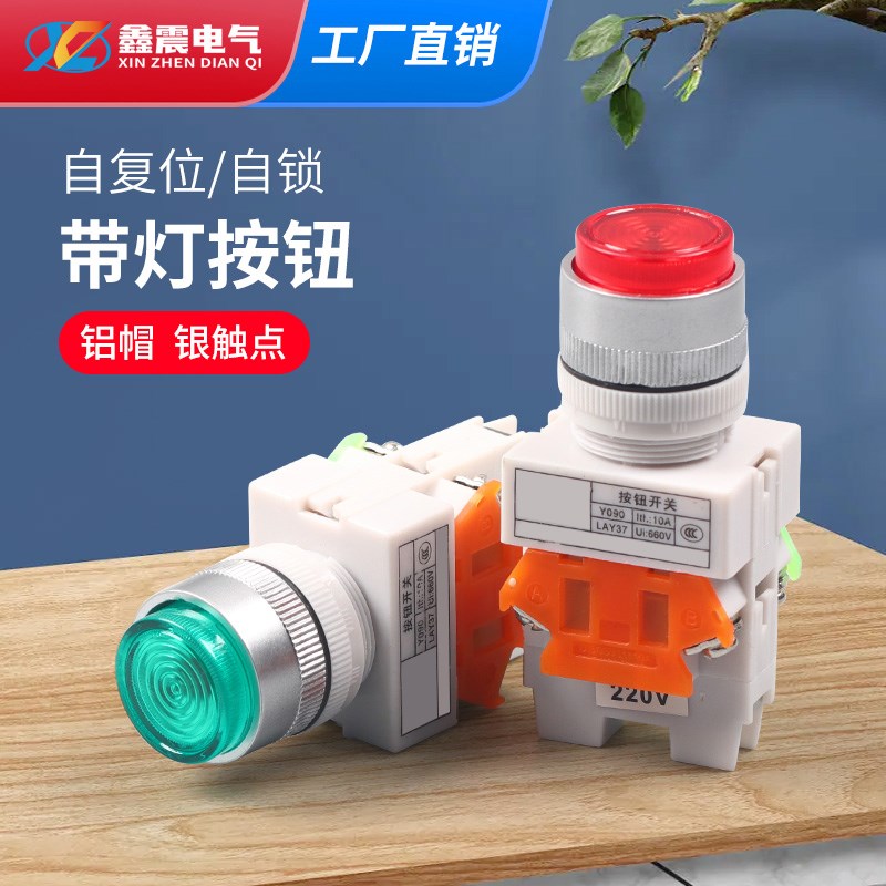 自复位按钮开关 LAY37-11DN 带灯按钮22MM Y090 一开一闭22mm