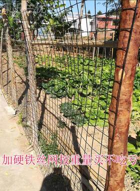 硬鸭塑荷兰网鸡菜园圈ZUS户地铁网外家用栏栅加硬田园丝隔离养殖