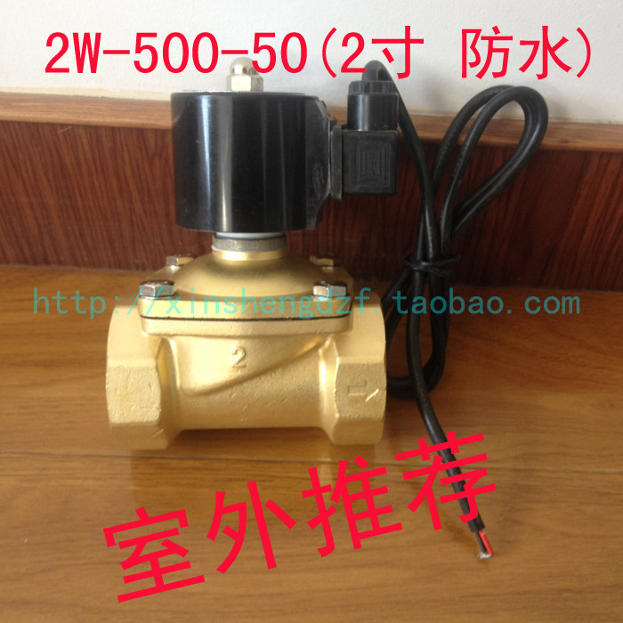 2寸防水电磁阀常闭DN50室外电磁阀 2W-50完全防水型水阀气阀
