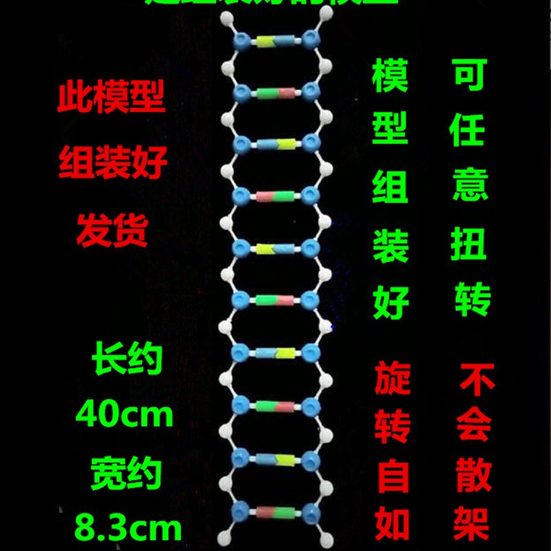 DNA双螺旋结构模型组件J3242高中生物 教学仪器  是组装好的模型