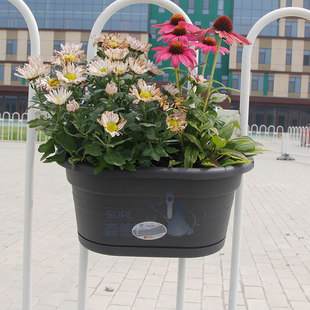 环球霍伦盆壁挂盆送挂钩花卉绿植种植盆护墙栅栏壁挂盆吊盆家用盆