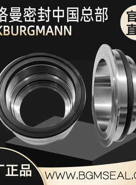 TIRXM055NAD/PD220902346美国福斯FLOWSERVE真空泵轴封机械密封