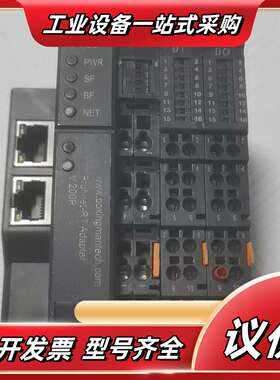 BSM 601-PN0000 V.200P 耦合器，BOxi议价