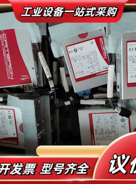 HORIBA D519MG MG-04 784SCCM进口拆议价