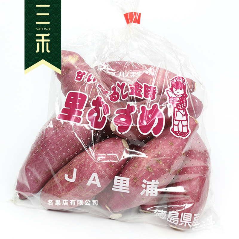 日本品种德岛鸣门金时番薯松地瓜板栗紫薯红薯安纳芋香糯甜