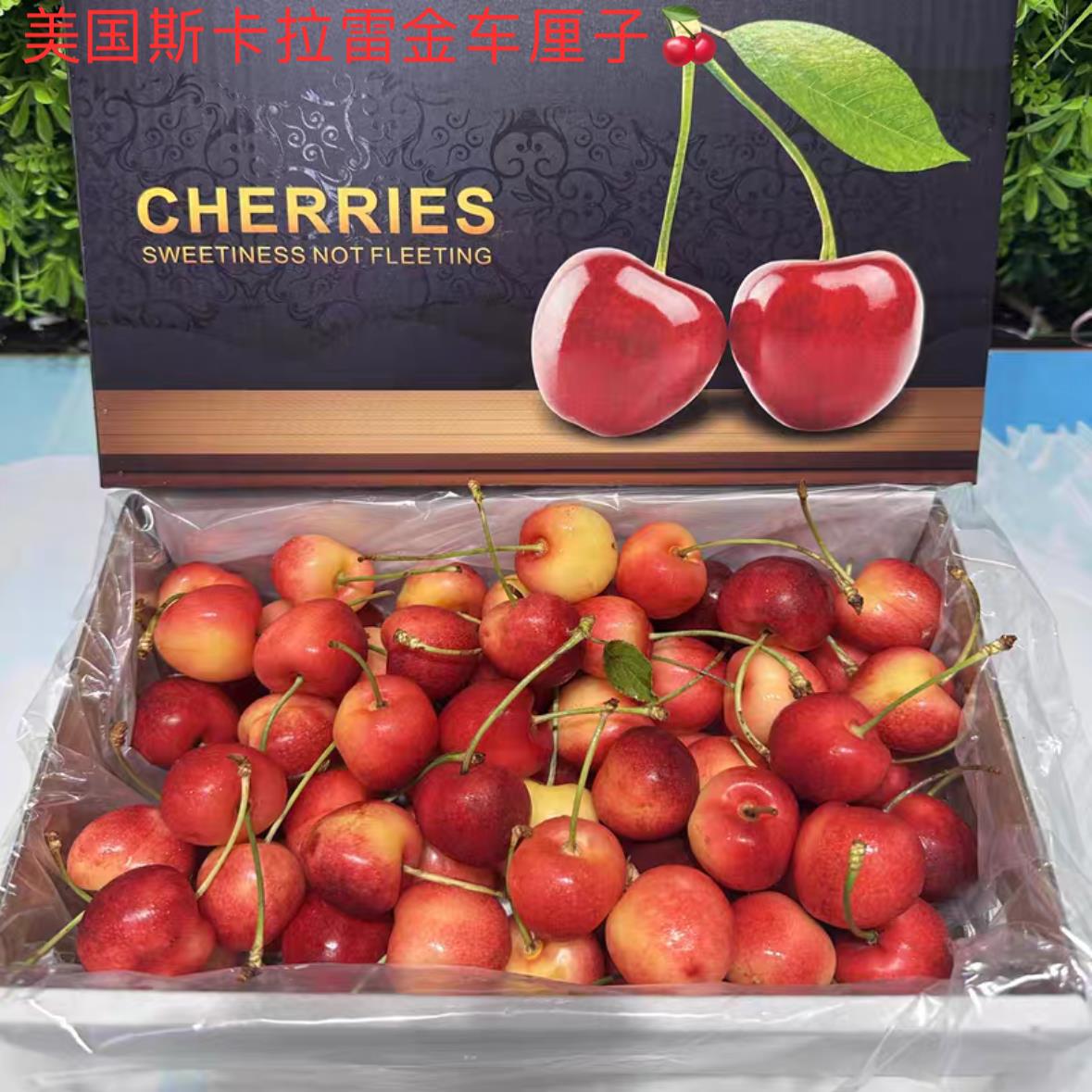 美国空运进口黄金车厘子新鲜水果黄色大樱桃孕妇水果节日礼盒送礼