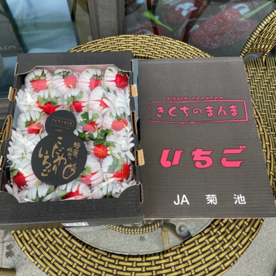正宗菊池草莓士多啤梨24-30颗礼盒装日本品种国产草莓贵的草莓
