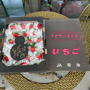 正宗菊池草莓士多啤梨24-30颗礼盒装日本品种国产草莓贵的草莓