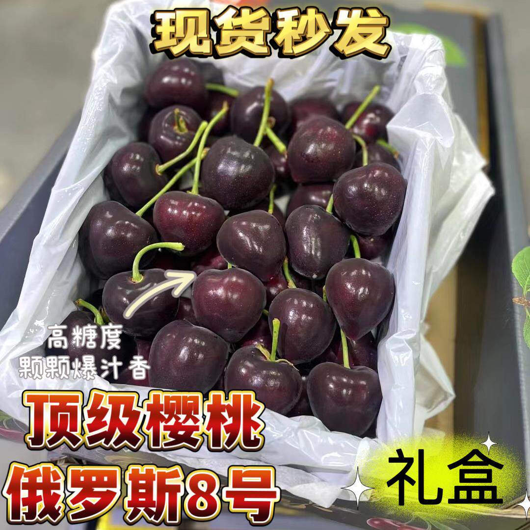 俄罗斯8号5J大樱桃绍氏樱桃艺术家新鲜水果孕妇樱桃顺丰空运