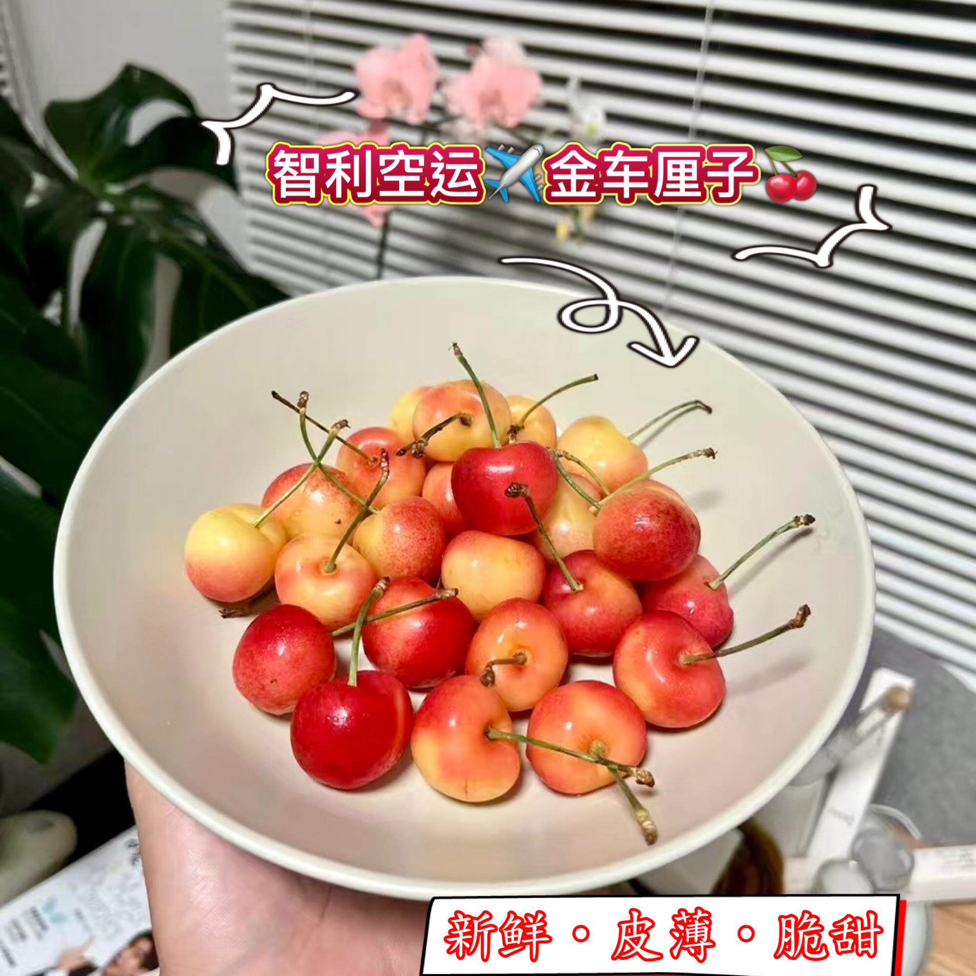 智利进口金车厘子黄樱桃当季新鲜水果3-4J大果4.4斤送礼天空之城