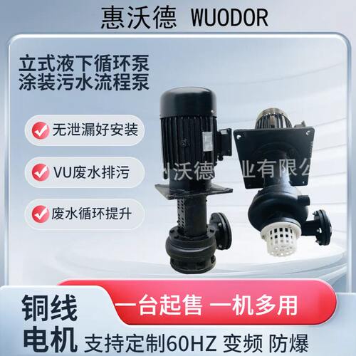 供应惠沃德YLX250-40流程循环泵0.75kw无轴封涂装污水液下电动泵