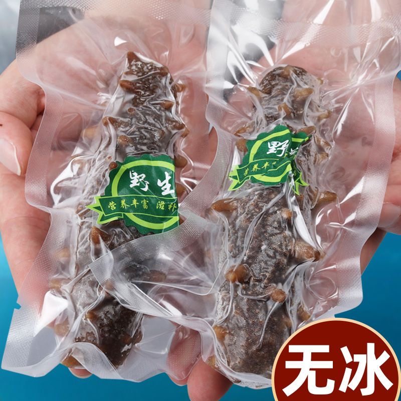 【无冰】即食海参正宗辽参野生海参官方补贴大连辽刺参新鲜开袋