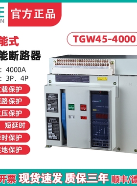 TENGEN天正电气 TGW454000 4000A 3200A万能式断路器 框架断路器