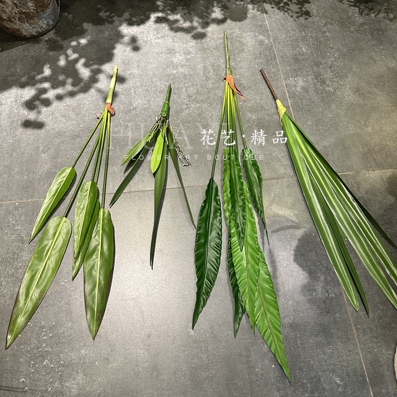 仿真鸟巢蕨叶水竹叶尖叶剑叶扁叶窄叶植物装饰绿植插花素材盆栽