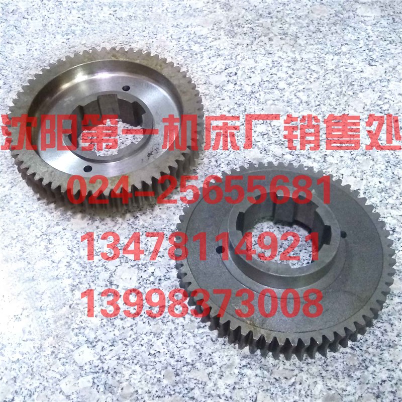 中捷摇臂钻床配件 Z3063*20 63019A 原厂钻床蜗轮 Z60 M3 6-80*20