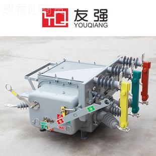 10KV戶 0KA柱上分界開關手動操 外高壓真空斷路器2ZW265301263