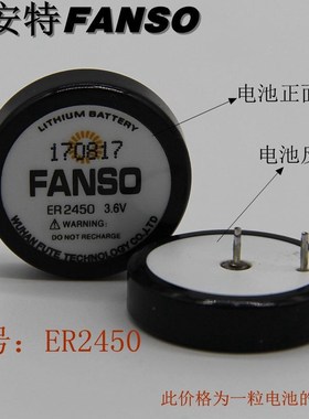 FANSO  孚安特扣式电池3.6V TPMS胎压电池 税控机电池 ER2450