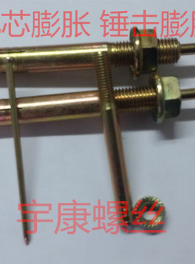 击芯膨胀/举升机膨胀敲击胀管/锤钉壁虎/壁虎膨胀M24*160/200.250