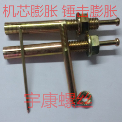 击芯膨胀/举升机膨胀敲击胀管/锤钉壁虎/壁虎膨胀M24*160/200.250