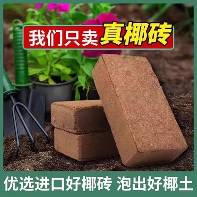 椰砖营养土无菌脱盐绿植