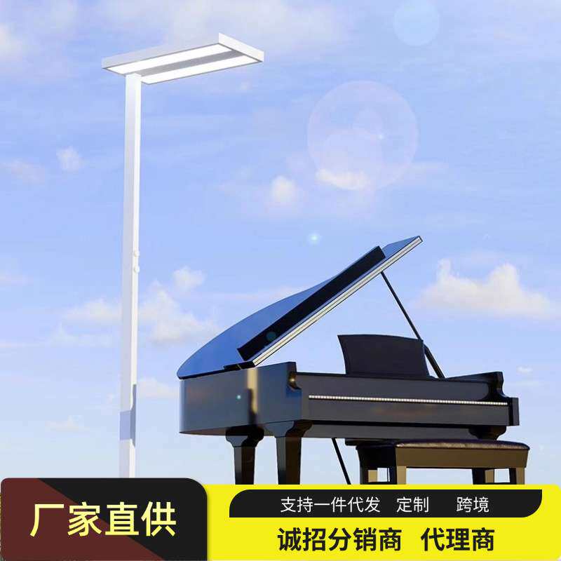 双旋钮护眼全光谱钢琴补光落地练琴学生专用儿童学习灯全落地式