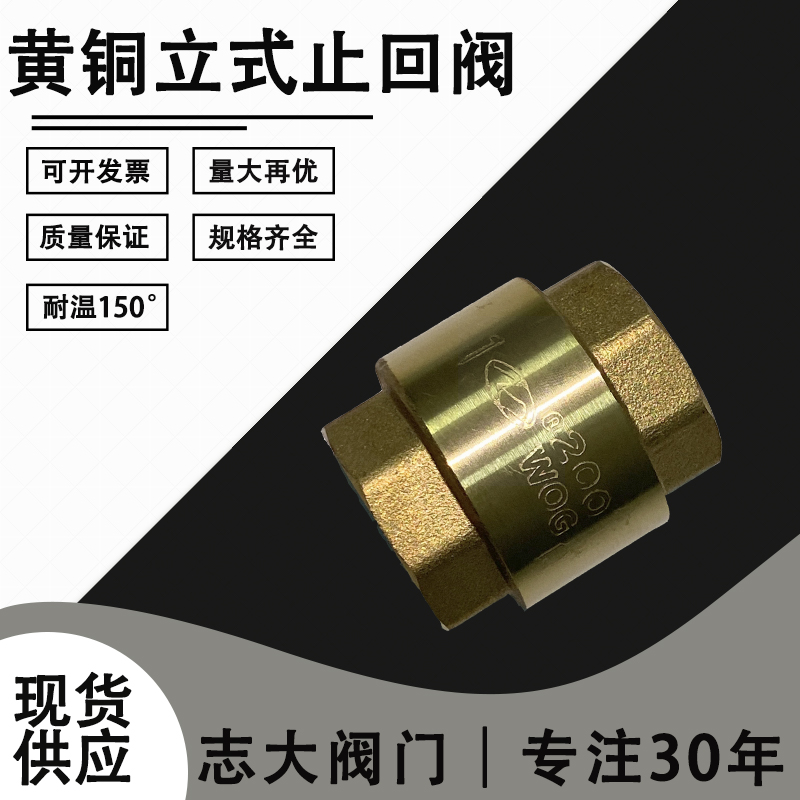 全铜立式止回阀4/6分1寸 卧式逆止阀内丝水管道水表热水器单向阀