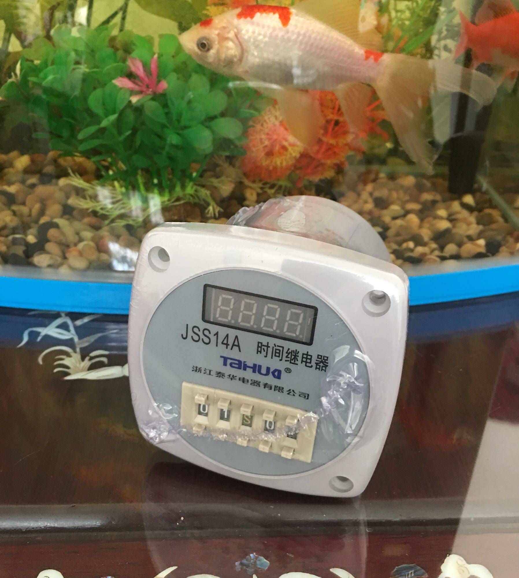 浙江泰华 数显时间继电器JSS14A  全规格0-99h99m 220V 380V