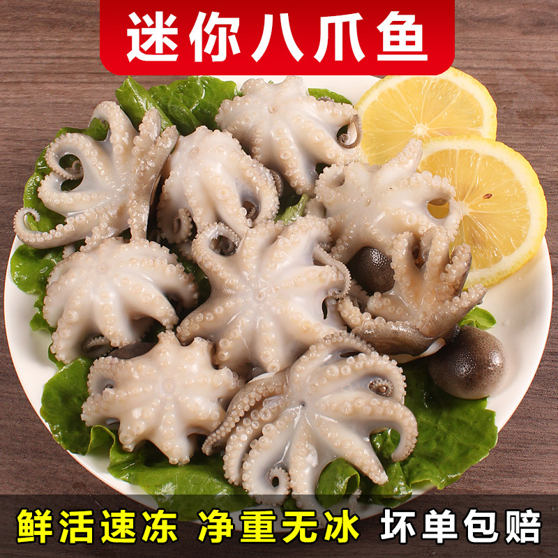 【免清理八爪鱼】商用推荐