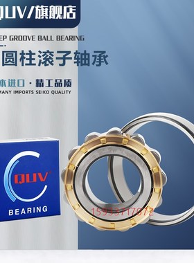 进口高速圆柱滚子轴承RN NUP222 224 226 228 230 232 234 236 EM