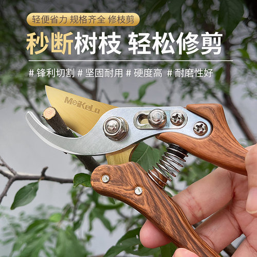 果树剪刀修枝神器摘果剪树剪花卉枝剪刀绿化嫁接园林园艺修剪剪枝