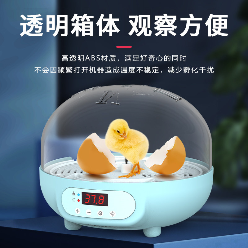 芦丁鸡小鸡孵化器儿童孵蛋器小型家用全自动智能孵化机恒温孵化箱