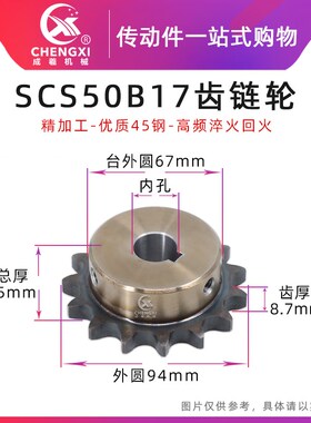 SCS高品质成型孔链轮5分50B17齿 10A17T外径94精车孔键槽顶丝孔