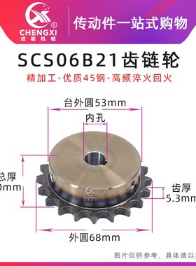 SCS高品质成型孔链轮3分21齿 06B21T外径68 精车内孔键槽顶丝