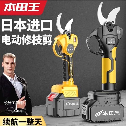 德国进口进口电动修枝剪刀树枝修剪无线果树剪锂电池充电式园林粗