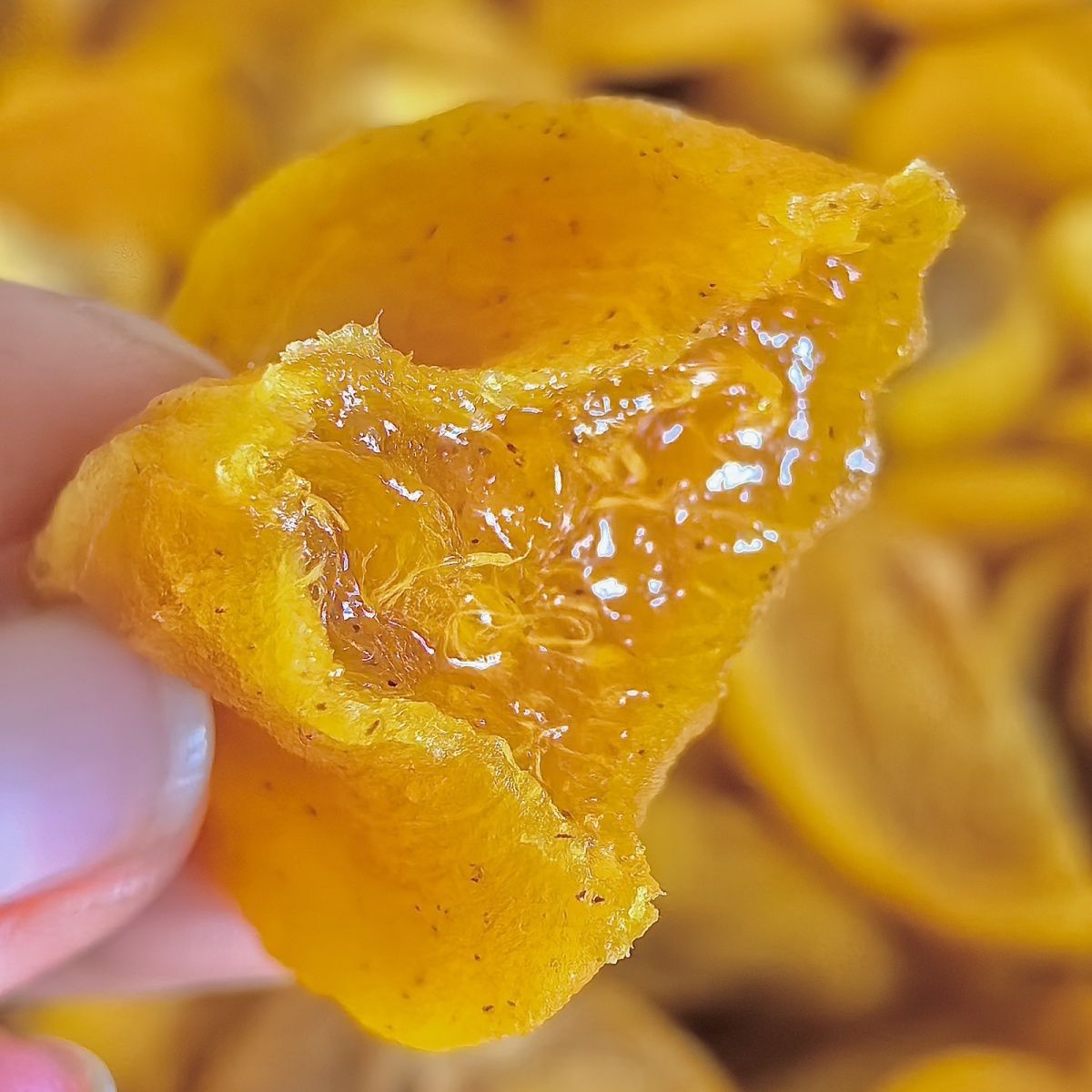 【超流心0脂】广西桂林特产