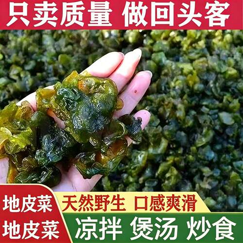 甘肃特产地皮菜干货免洗野生地软地木耳地衣雷公菌农家野旗舰店