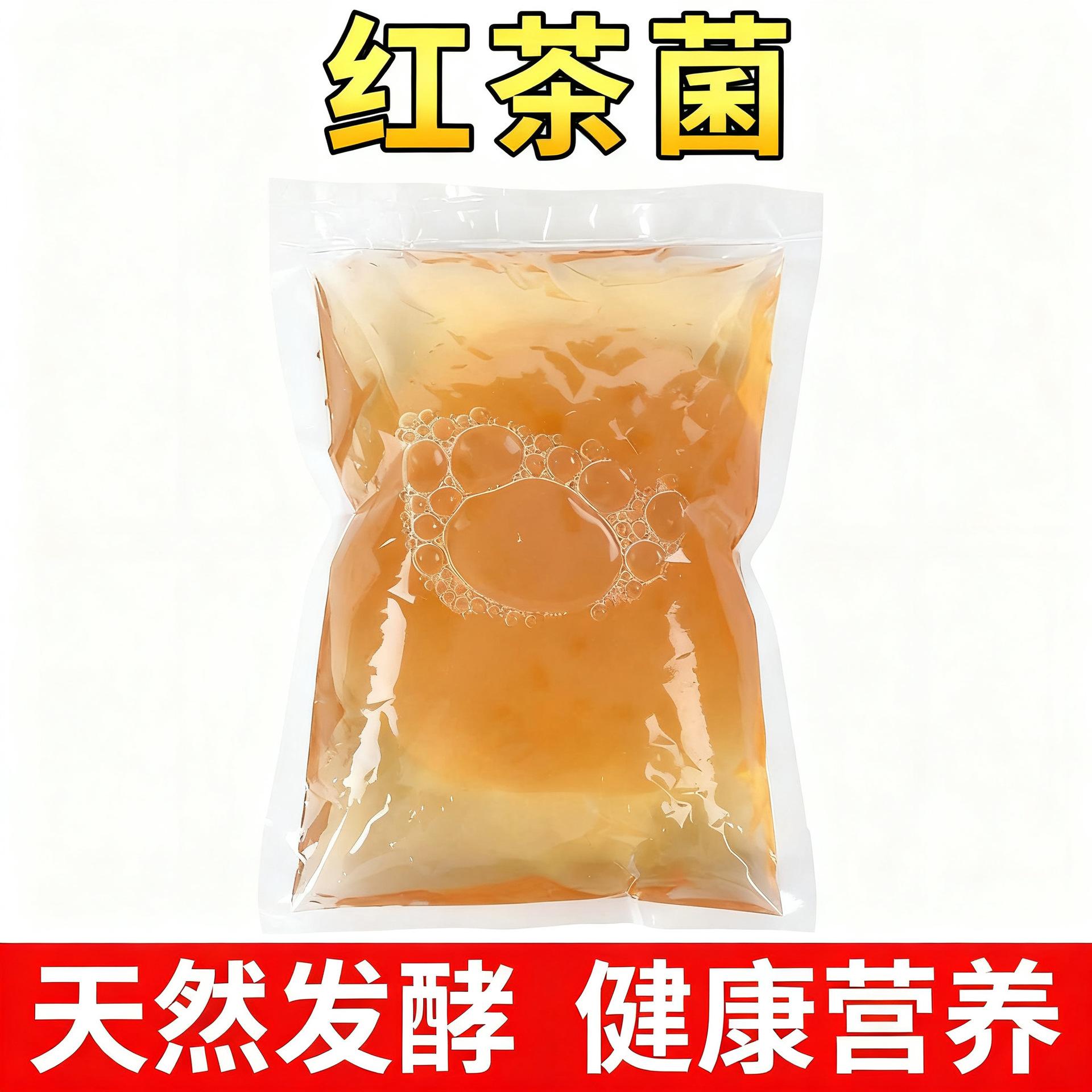 红茶菌菌种正品食用普茶特色饮品图片
