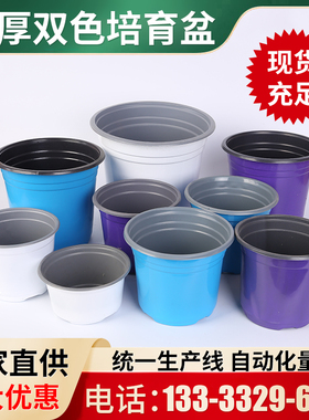 双色盆加厚蓝色白色紫色一次性塑料扦插育苗花盆草莓多肉种植盆