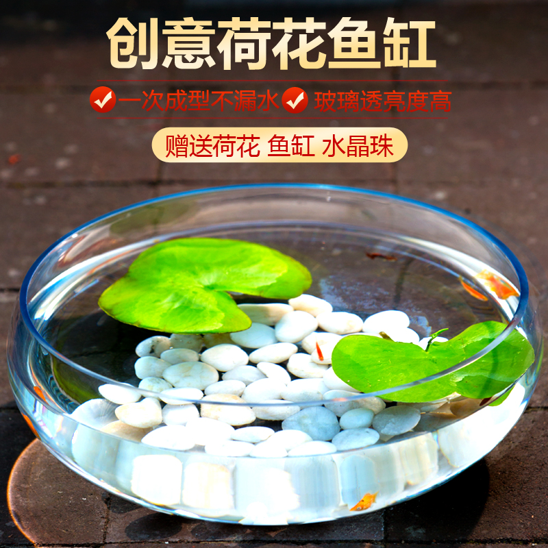 特大号荷花缸 超白透明大型玻璃鱼缸 水培创意鱼缸金鱼缸乌龟缸