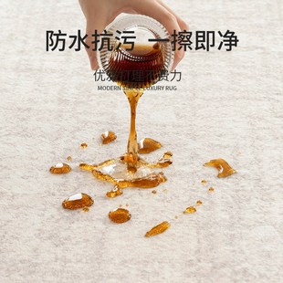 家用隔音地垫免洗可擦卧室全铺大面积轻奢高级 客厅地毯2025新款